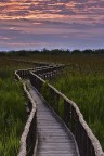 oasi lipu massaciuccoli oasi lipu massaciuccoli