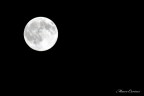 Nikon d3100 70-300
1/500
f.16
iso 100

dopo una lunga inattivit�
