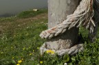 La natura in catene