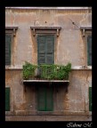Facciata Facciata