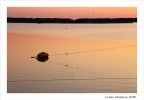 Orange... evening