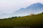 Malga nel Parco della Lessinia Malga nel Parco della Lessinia