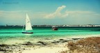 la barca a vela