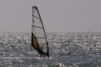 wind surf