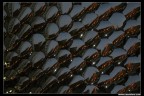 Riflessi Notturni Riflessi Notturni