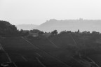 Barolo B&amp;W