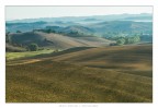 Colline, Lajatico.