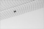 Escape Escape