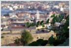 Cappero