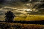 la solita alba la solita alba