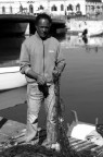 Pescatore aretuseo Pescatore aretuseo