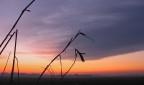 Tramonto dai colori vivaci Tramonto dai colori vivaci