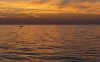 sunset sunset