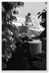 Vacancy BW