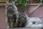 Madre e figlio