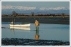 Pescatore di laguna