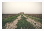 nebbia fine art nebbia fine art