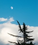 Luna.....t'acchiappo!