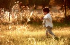 vento d'autunno vento d'autunno