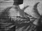 Graffiti Graffiti