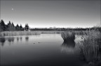 Parco Lago Nord