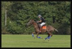 Monza Polo 2015 Monza Polo 2015