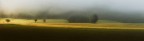 una luce nella nebbia una luce nella nebbia