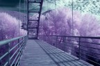 il ponte il ponte
