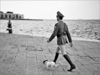 Trieste Img. 950 Trieste Img. 950