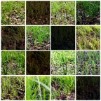 Stessa scena momenti diversi (5)