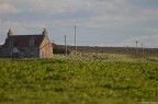 Campagna scozzese Campagna scozzese