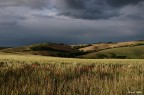 Paesaggio pesarese Paesaggio pesarese