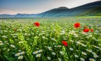 castelluccio castelluccio