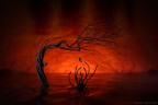 Aspettando Halloween... Aspettando Halloween...