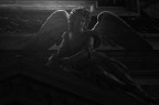 Dark Angel Dark Angel
