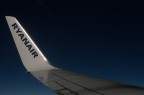 wing wing