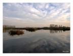 Quando la natura dà spettacolo..... Quando la natura dà spettacolo.....