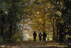 RELAX NEL BOSCO RELAX NEL BOSCO
