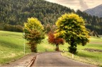 viaggiando