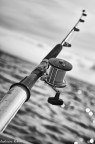 A pesca A pesca
