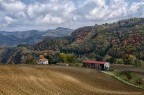Colline romagnole Colline romagnole
