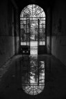 Riflessi Riflessi
