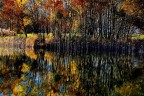 Colori d'autunno Colori d'autunno