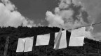 Parole al vento Parole al vento