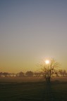 Alba Alba