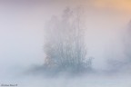 Autumn Minimal Autumn Minimal