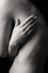 Particolare 3 Particolare 3