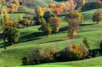 Autunno Autunno