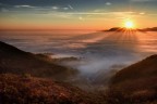 Alba Alba