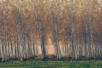 Autunno 2015 Autunno 2015